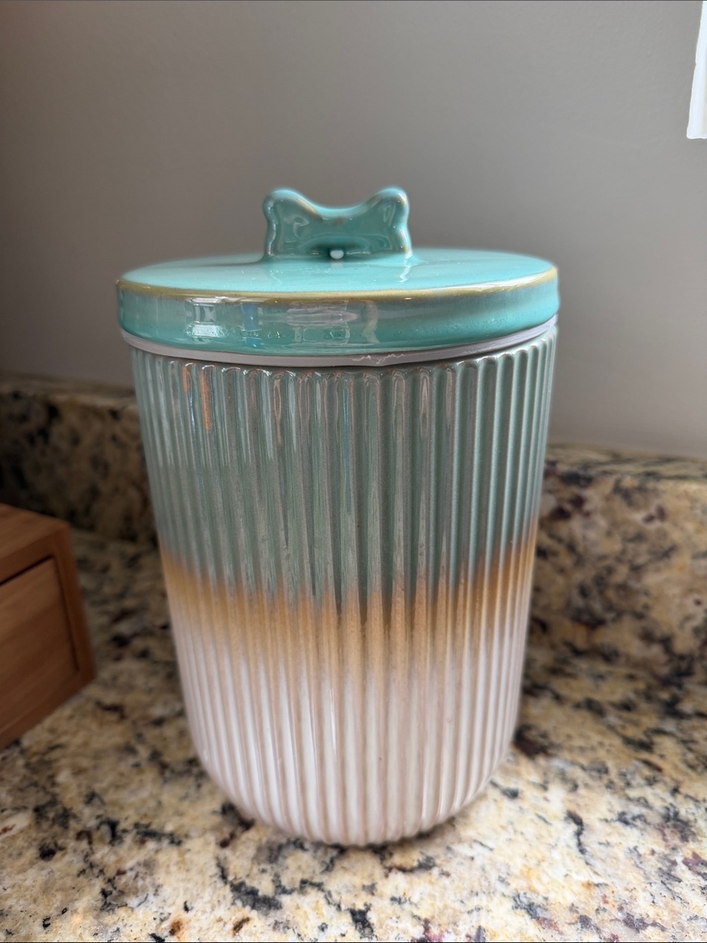 Treat Jar NWOT
